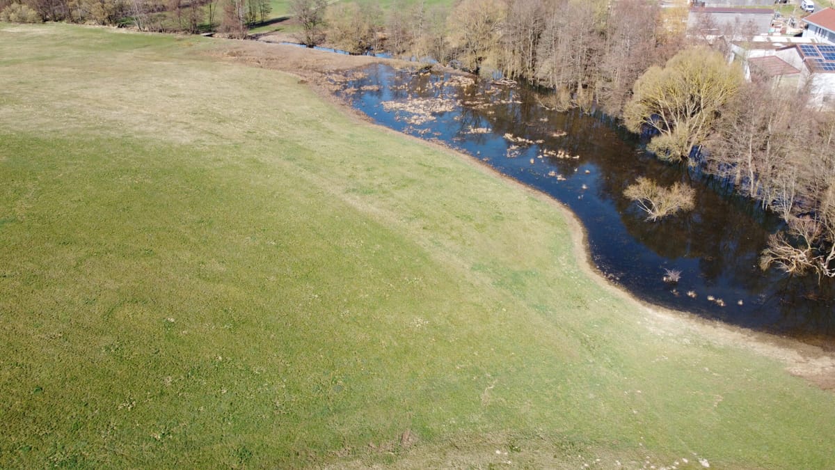 Biberteich von oben gefilmt