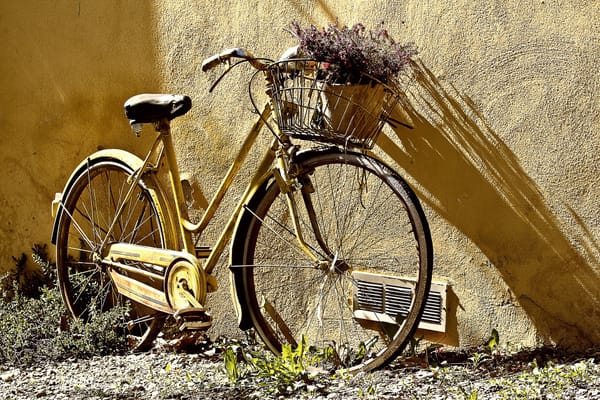 Fahrrad Fake-Shops wieder da - Vorsicht ist geboten