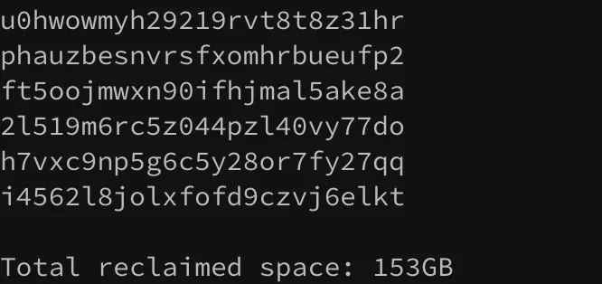 Terminalausgabe zeigt freigegebenen Speicherplatz von 153 GB