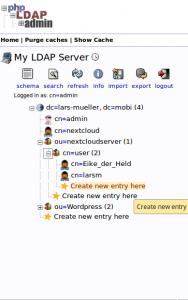 ldap user