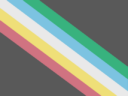 disability_flag